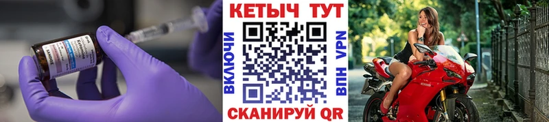 KRAKEN ссылка это официальный сайт Кетамин VHQ даркнет сайт Гремячинск
