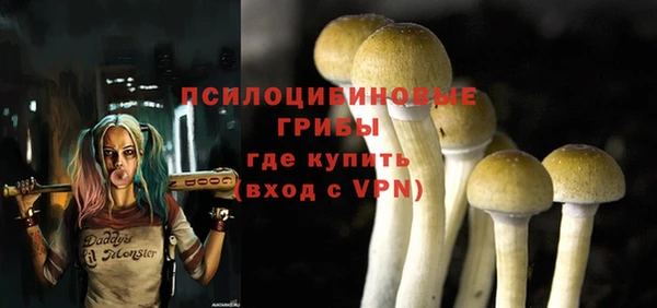 индика Весьегонск