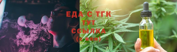 индика Весьегонск