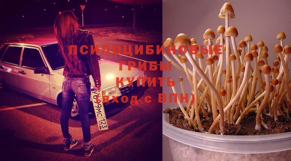 мдпв Видное